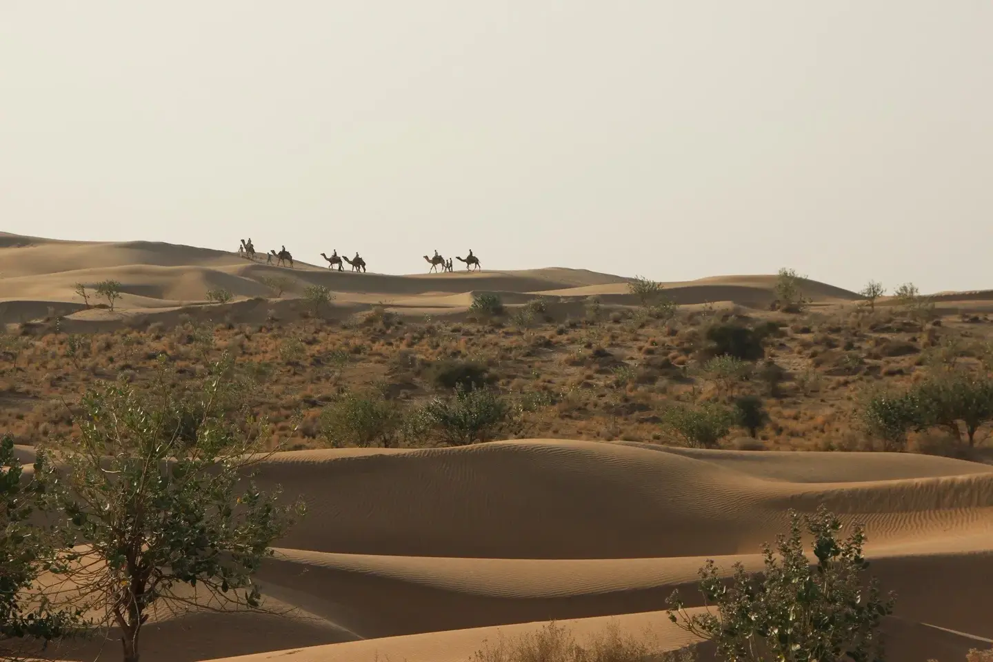 Ahmedabad to Jaisalmer road trip via Udaipur and Jodhpur.